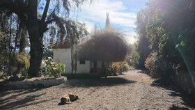 A small single-storey white building among tall trees, with a bare earth yard and a dog lying in the foreground.
