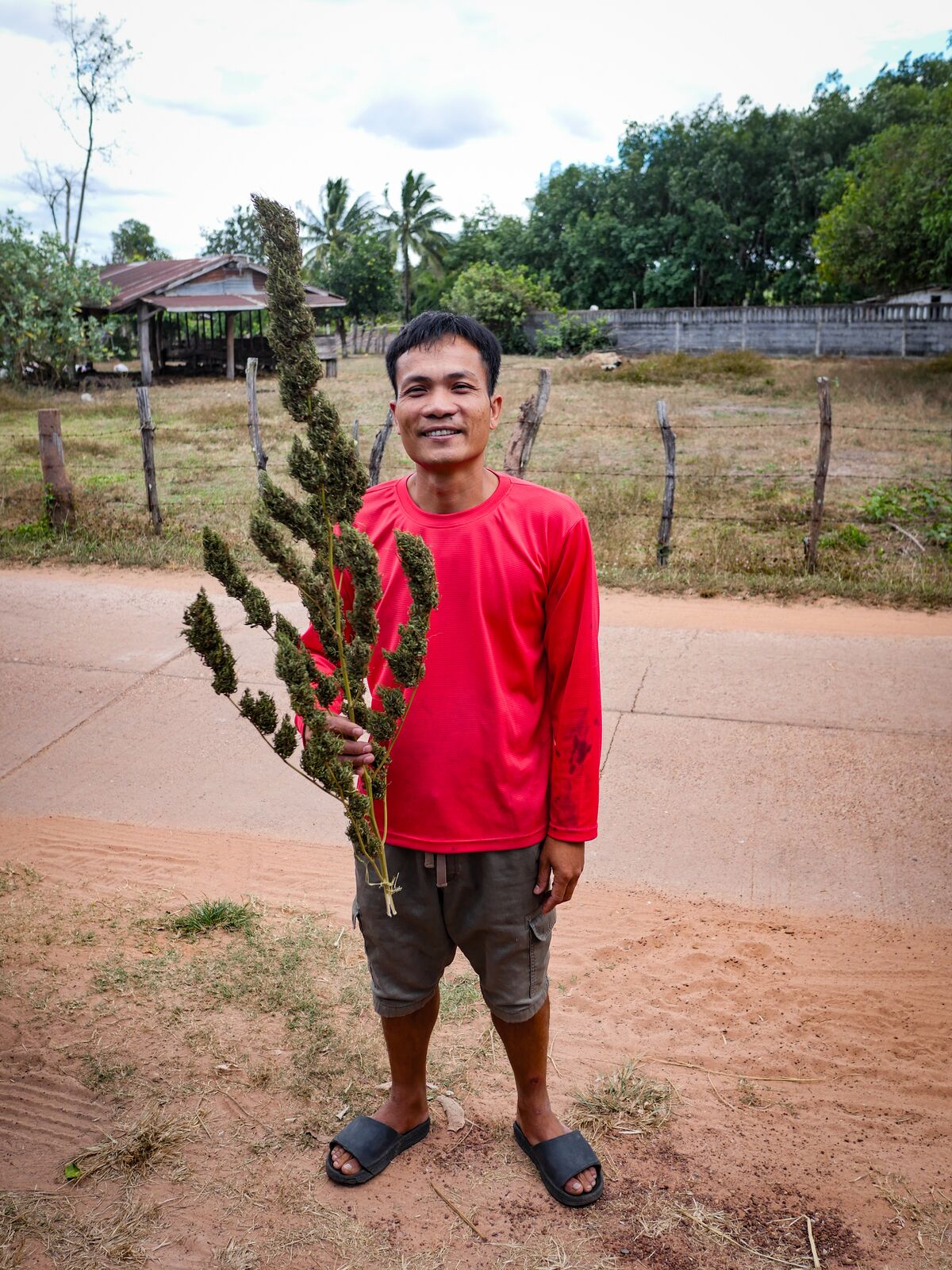 Khun Suriyan posing with his landrace flowers