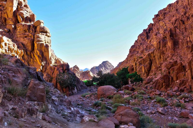 File:Sinai-Peninsula-Qesm-at-Tour-South-Sinai-Governorate-Egypt-panoramio-youssef-alam-8.jpg