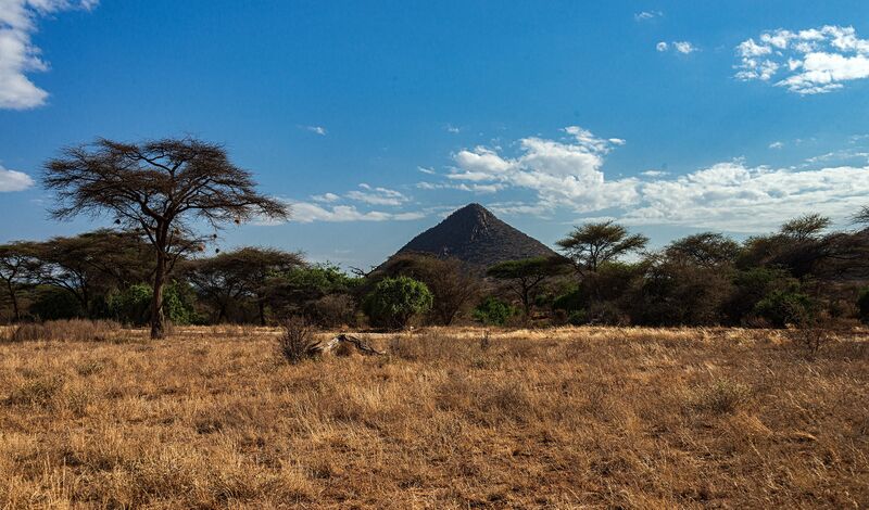 A pyramid-shaped hill rising behind acacia woodland and dry grassland.
