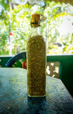 Seeds in a bottle kept by a farmer in Thanalmalwila, Uva Province - Sri Lanka.