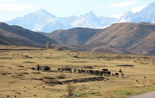 The Tian Shan near Karakol, Issyk-Kul Region