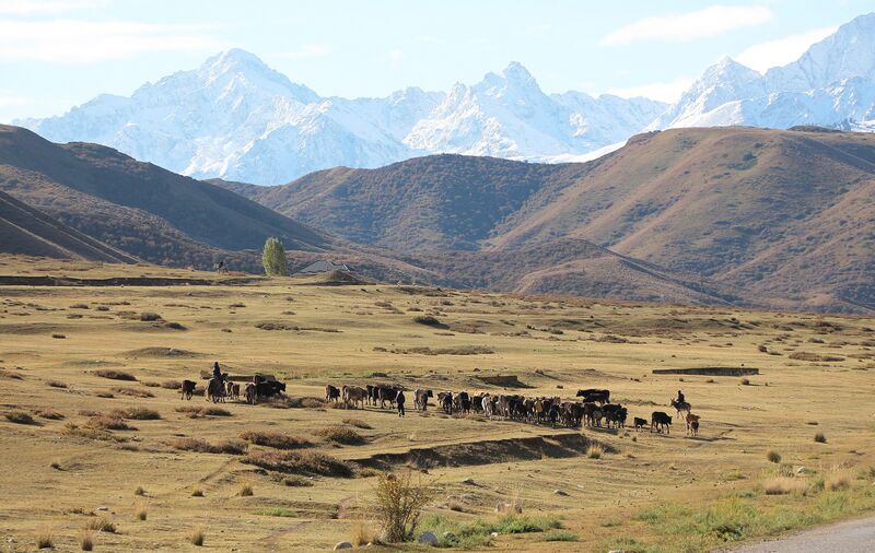 File:Kyrgyzstan-tian-shan-karakol.jpg