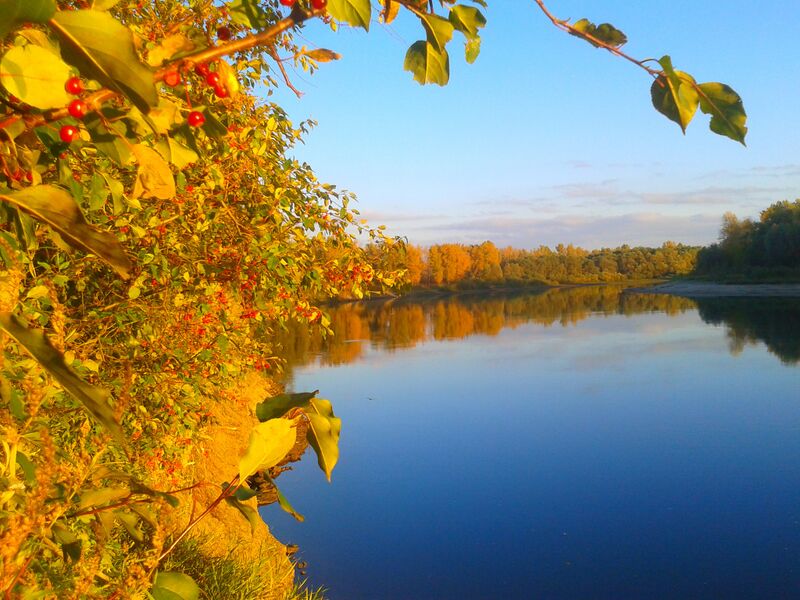 File:Altai-Krai-growing-region-Ust-Kalmansky-District-Altai-Krai-Russia-panoramio.jpg