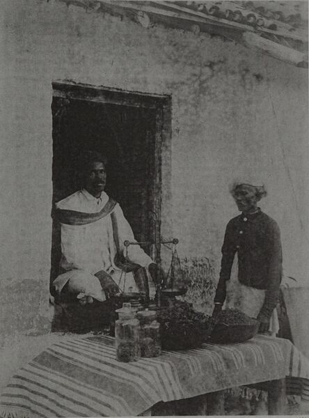 File:Ganja-drug-shop-khandesh-1894.jpg