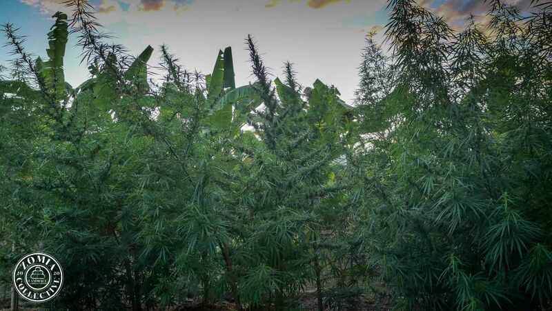 File:Krabangkham Farm.jpg