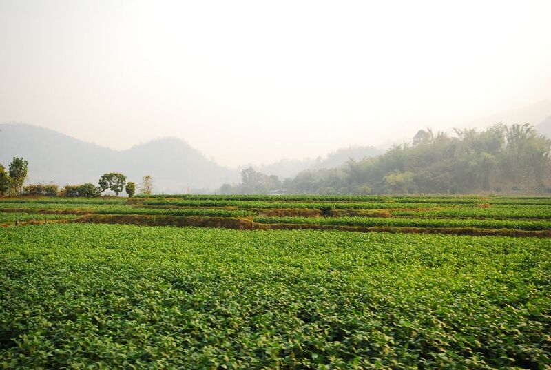 File:Mae-Taeng-panoramio.jpg