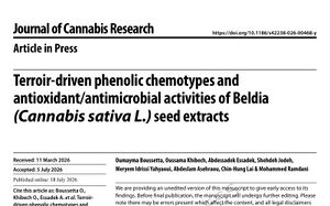 Terroir-driven phenolic chemotypes and antioxidant/antimicrobial activities of Beldia (Cannabis sativa L.) seed extracts