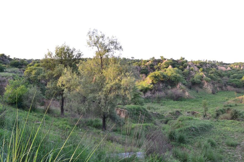 Potohar Plateau