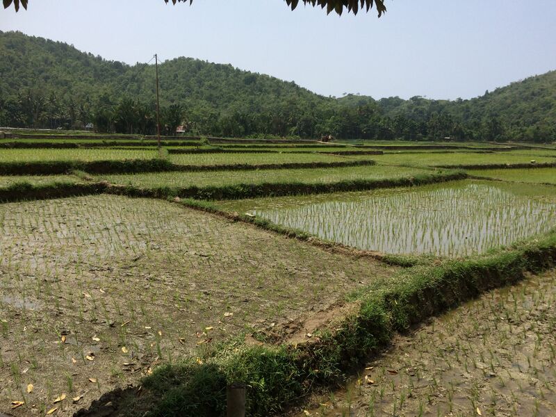 File:Northern-Sumatra-Trieng-Meuduro-Baroh-Sawang-South-Aceh-Regency-Aceh-Indonesia-panoramio-4.jpg
