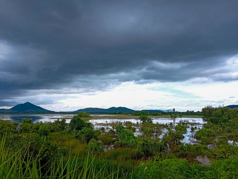 Flooded grassland and scattered shrubs under a heavy sky, with low hills in the distance
