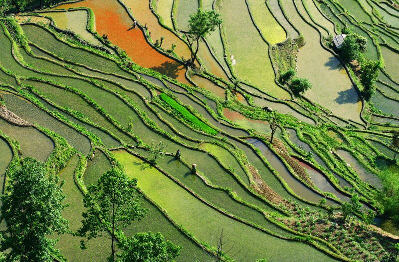 File:Yunnan-Subsistent-Farming-Southern-China.jpg