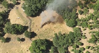 Aerial view of a hillside clearing planted in regular rows, ringed by scrub oak; a column of pale smoke rises from a fire burning at one edge of the plot.