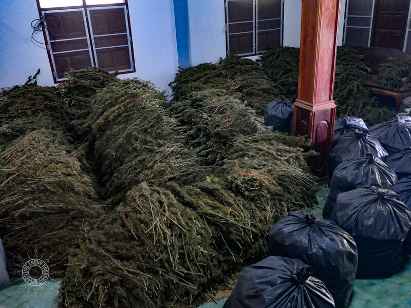 File:LinPoohGanja.jpg
