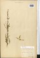 Thumbnail for version as of 08:52, 12 October 2026