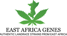 East Africa Genes logo: a green cannabis leaf above the words 'East Africa Genes' and 'Authentic landrace strains from East Africa'