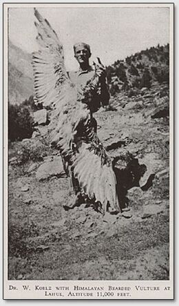 Black-and-white photograph of a man standing on a rocky slope and holding up a large bird with its wings spread.