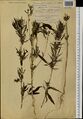 Thumbnail for version as of 11:17, 12 October 2026