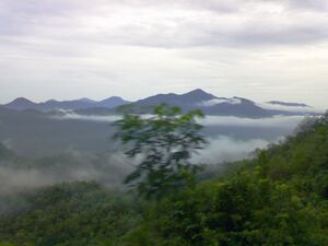 Forested hills under mist, with ridges fading into the distance