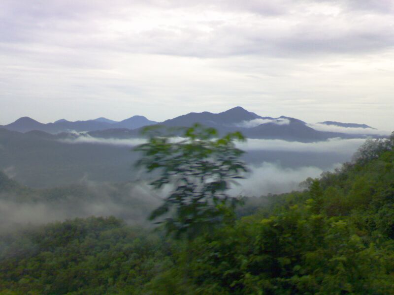 File:Eastern-Ghats-Deomali-by-Santanu-Mahapatra-Koraput-panoramio.jpg