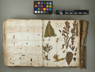 Photograph of an open bound herbarium book: handwritten entries on the left-hand page, pressed plant fragments with handwritten numbers on the right-hand page, and a colour chart and scale bar above the book.