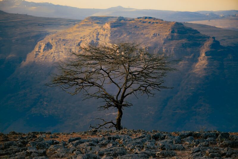 File:Ethiopia-highland-cliff.jpg