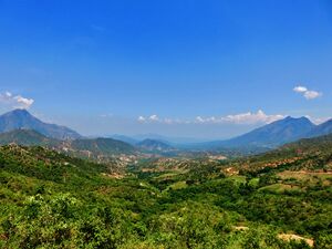 Forested valleys and ridges under cloud, seen from a hillside with low trees in the foreground