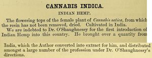 Printed entry Cannabis Indica, Indian Hemp, from two pages joined