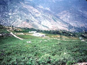 Terraced fields of green cannabis plants on a valley floor below steep grey mountain slopes