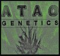 Thumbnail for version as of 12:46, 12 October 2026