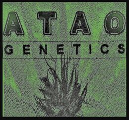 ATAO Genetics logo: the words ATAO and GENETICS in black capitals over a green-tinted picture of a cannabis plant
