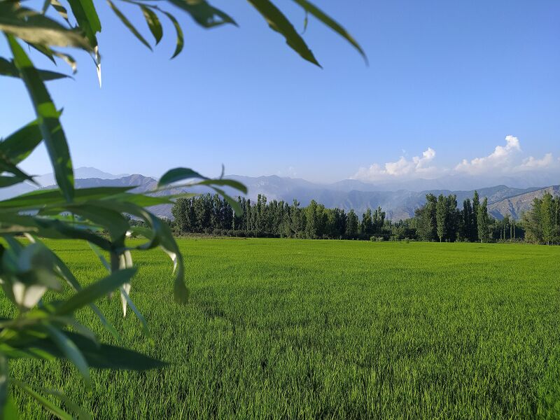 Kashmir Valley