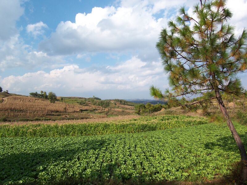 File:Weining-panoramio.jpg