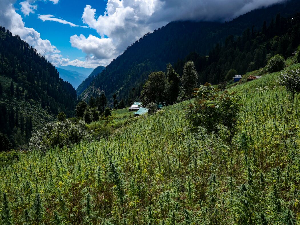 Malana Valley