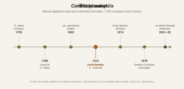 Timeline from 1753 to the present of names applied to Cannabis: Linnaeus C. sativa 1753, Lamarck C. indica 1785, Vavilov var. spontanea 1922, Janischewsky C. ruderalis 1924, Schultes three species 1974, Small and Cronquist monotypic 1976, and molecular work 2021 to 2025 finding no distinct ruderalis lineage.