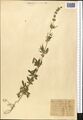 Thumbnail for version as of 18:50, 12 October 2026