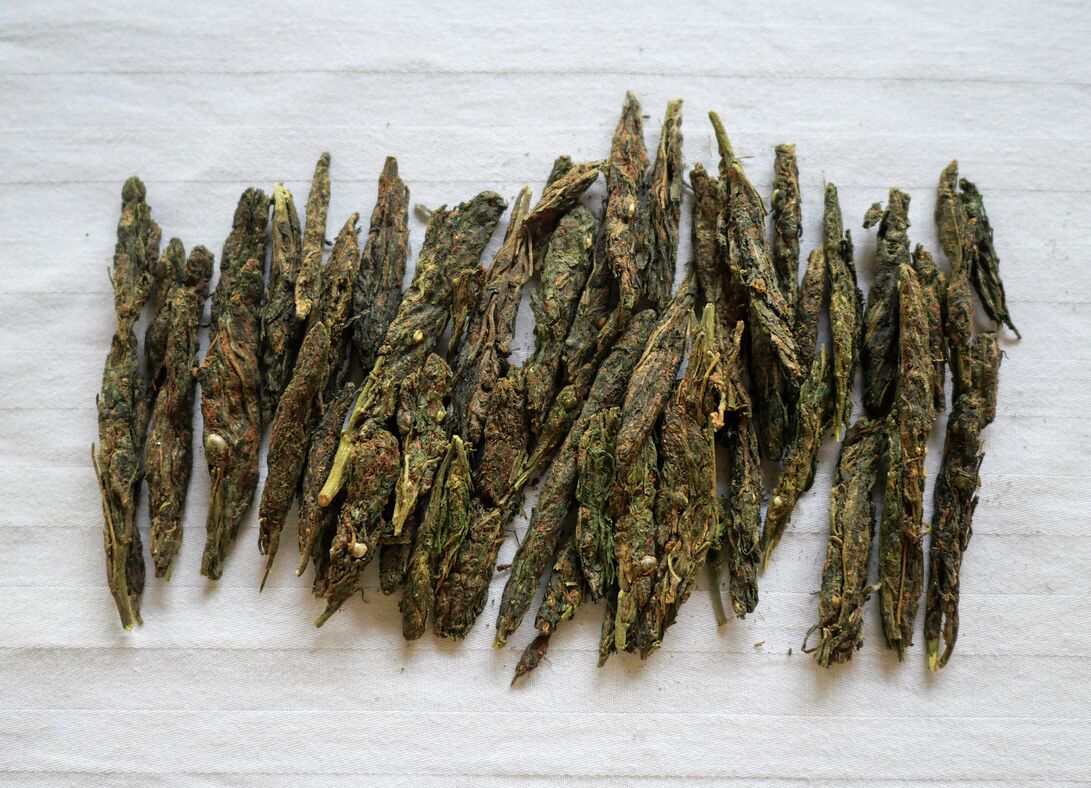 Jalpaiguri General Population #7 2024