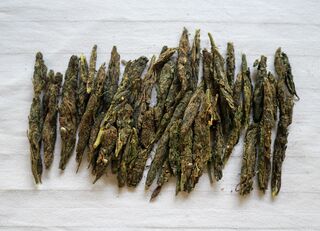 Jalpaiguri General Population #7 2025 'chaap'