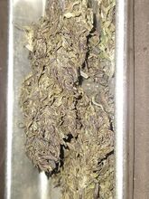 Dried purple-tinged cannabis buds packed into a metal tray