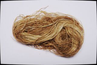 A loose skein of pale golden-brown hemp fibre on a white background