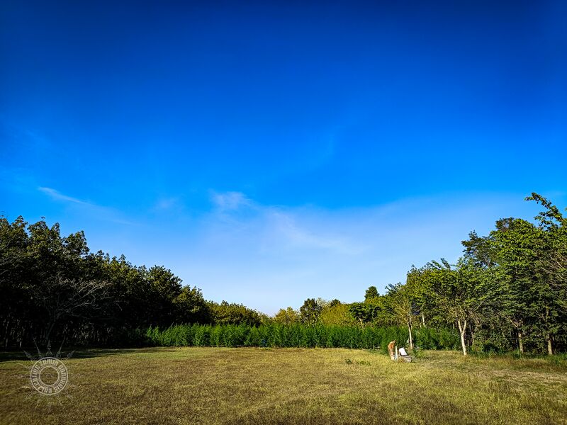 File:Lin-PoohFarm01.jpg