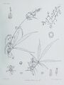 Thumbnail for version as of 11:51, 17 September 2026
