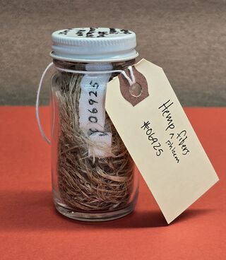 Photograph of a small glass jar with a white screw lid, filled with loose pale brown fibre, with a handwritten paper tag tied to its neck, standing on a red surface.