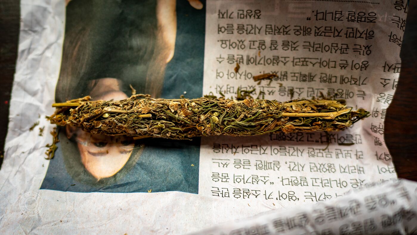 Yala General Population 2023