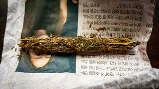 Yala General Population 2023 ganja