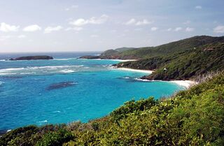 Beaches of Mustique island in Saint Vincent and the Grenadines