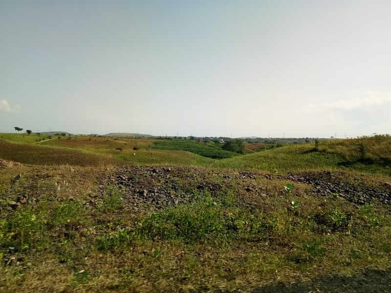 File:Bhopawar-Scene-on-way-of-pitol-to-ranapur-madhya-pradesh.jpg