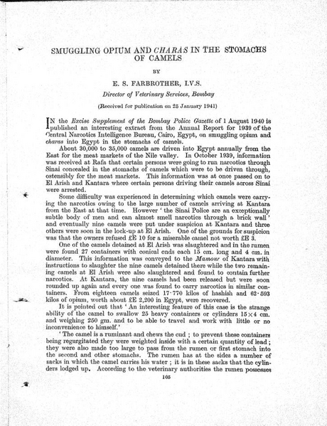 File:Smuggling Opium in Camels.png