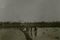 Thumbnail for version as of 04:15, 31 October 2026