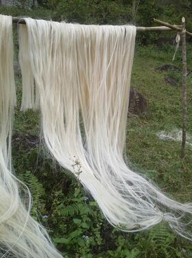Long pale fibres hanging from a wooden pole to the ground, in front of green undergrowth.